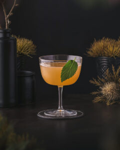 Old Cuban - Refreshing orange cocktail with rum and champagne. Garnsihed with mint leaves.