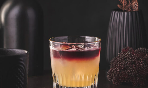 New York Sour – Whiskey and Red Wine