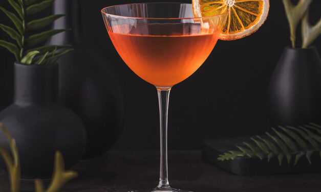Caneflower Cocktail – Cachaça, Aperol and Elderflower