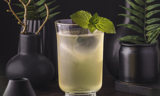 Gin Gin Mule – A Moscow Mule with Gin